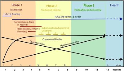 Evaluation of periodontitis parameters and plaque examination by microscopy: a report on 20 patients